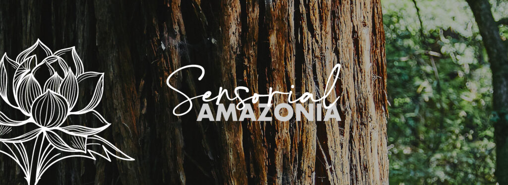 Sensorial Amazonia
