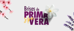 Brisas de Primavera - SPA - Hotel Maran Suites